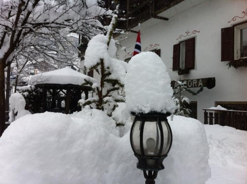 Hotel Ancora - Molina di Fiemme - Val di Fiemme - Itálie, Molina di Fiemme - Ubytování