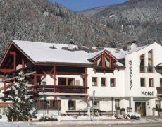 Hotel Brunnerhof  - Rasun/Anterselva