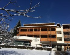 Hotel Olimpionico  - Castello Molina di Fiemme