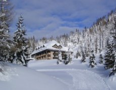 Hotel Al Gallo Forcello