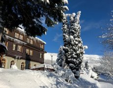 Alpský Hotel