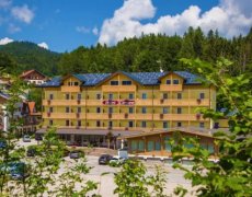 Hotel Caminetto Mountain Resort