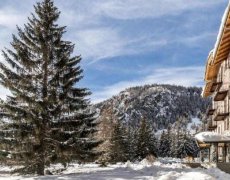 Hotel Monte Cervino  - Champoluc