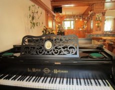 Hotel Alpina