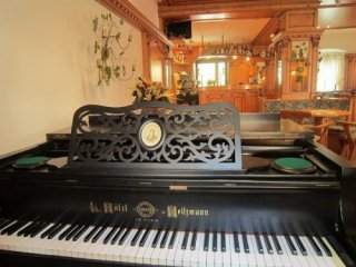 Hotel Alpina - Skirama Adamello Brenta - Itálie, Madonna di Campiglio - Marilleva/Folgarida - Lyžařské zájezdy