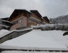 Rezidence Le Plejadi - Cavalese