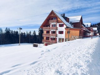 Forest Apartmány Videc - Pohorje - Slovinsko, Mariborsko Pohorje - Lyžařské zájezdy