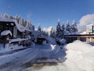 Apartmány Abete - Val di Sole - Itálie, Marilleva/Folgarida - Lyžařské zájezdy