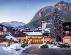 Park Hotel Regina delle Dolomiti