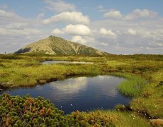 NICO - Špindlerův Mlýn