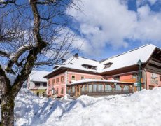 Landhof Zum Waidegger Wirt  se skipasem