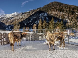 Gasthof Trushof - Jižní Tyrolsko - Itálie, Stelvio/Stilfs - Lyžařské zájezdy