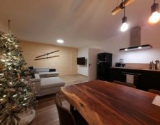 Ferienhaus Fien