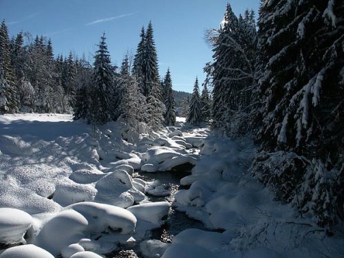 Penzion Černý vlk - Šumava jihočeská – zima - Česká republika, Kvilda - Lyžařské zájezdy