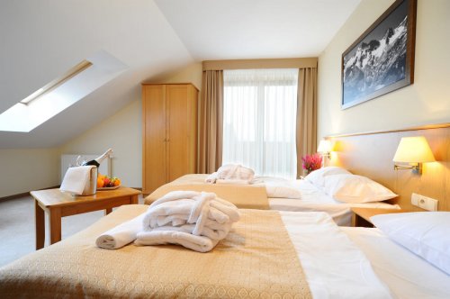 Hotel Alpejski - Orlické hory PL - Polsko, Zieleniec - Lyžařské zájezdy