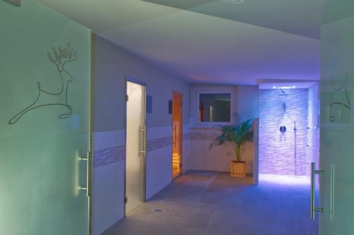 Hotel Stella Alpina a Hotel San Celso - Val di Fiemme - Itálie, Bellamonte - Lyžařské zájezdy