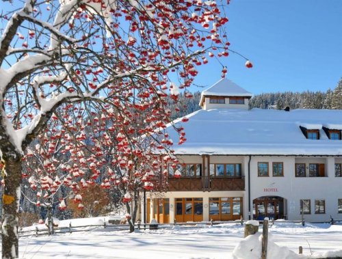 Hotel Corno Bianco - Itálie, Nova Ponente - Lyžařské zájezdy