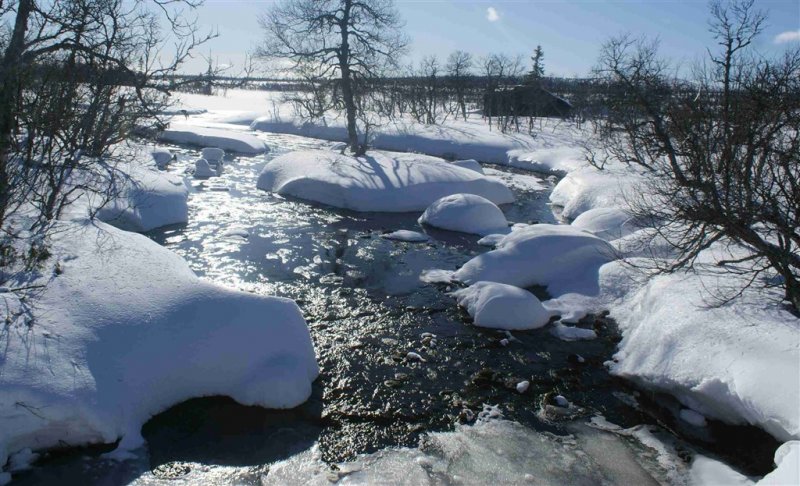 Norsko - Běžkování ve středisku Sjusjoen - Lyžařské zájezdy