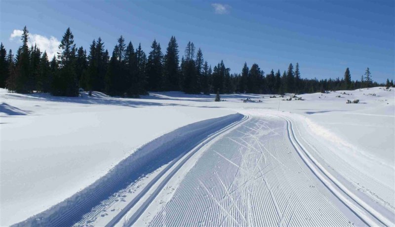 Norsko - Běžkování ve středisku Sjusjoen - Lyžařské zájezdy