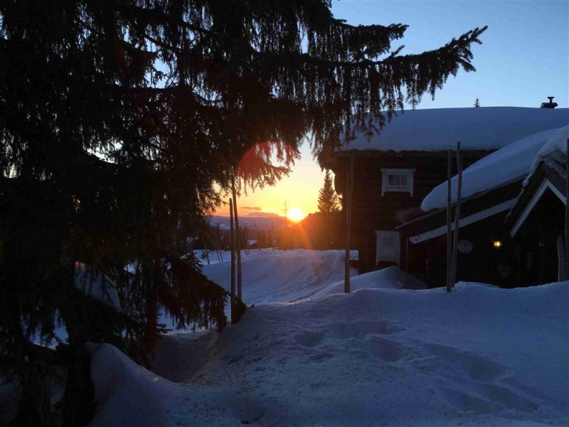 Norsko - Běžkování ve středisku Sjusjoen - Lyžařské zájezdy