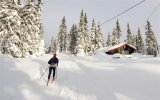 Norsko - Běžkování ve středisku Sjusjoen - Lyžařské zájezdy, Zimní pohodový týden na běžkách v Norsku Zimní pohodový týden na běžkách v Norsku