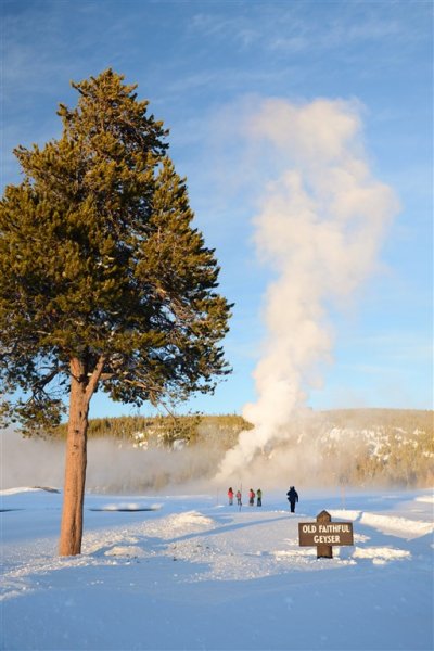 USA - Divoká Montana - Lyžování a Yellowstone na sněhu - Poznávací zájezdy