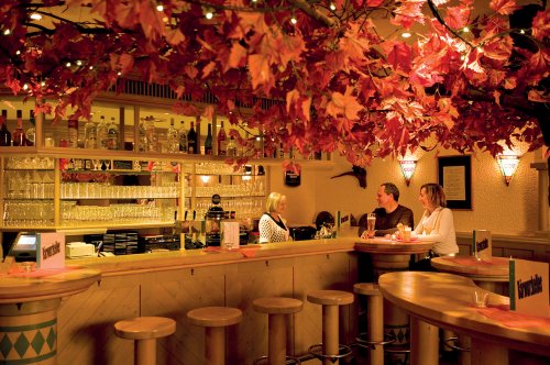 Aparthotel Predigtstuhl Resort - Hory a jezera - Německo - Německo, Bavorský les - Lyžařské zájezdy