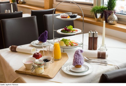 Aparthotel Jagdhof - Salcbursko - Rakousko, Salzburger Sportwelt - Lyžařské zájezdy