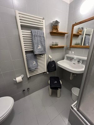 Apartmány Ferré - Madesimo/Campodolcino - Itálie, Madesimo - Lyžařské zájezdy
