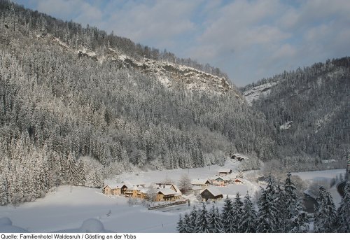 Hotel Waldesruh - Dolní Rakousko - Rakousko, Hochkar - Lyžařské zájezdy