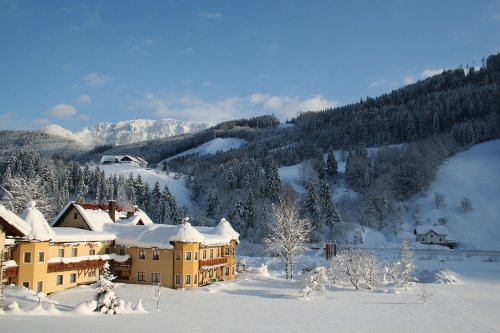 Hotel Waldesruh - Dolní Rakousko - Rakousko, Hochkar - Lyžařské zájezdy