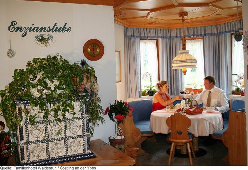 Hotel Waldesruh - Dolní Rakousko - Rakousko, Hochkar - Lyžařské zájezdy
