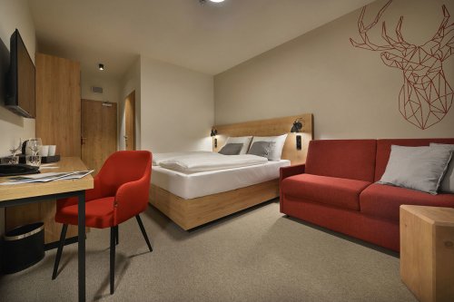 Hotel Element - Šumava - jihočeská část - Česká republika, Lipno - Lyžařské zájezdy
