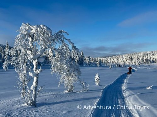 Finsko – backcountry lyžování v NP Urho Kekkonen - Aktivní dovolená