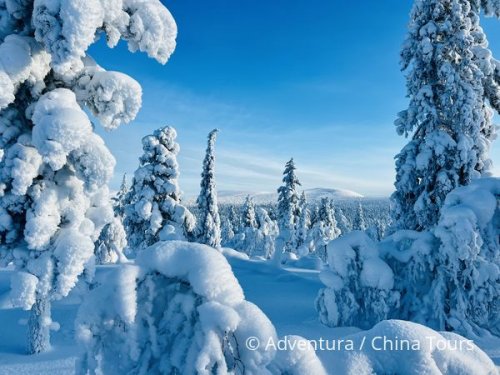 Finsko – backcountry lyžování v NP Urho Kekkonen - Aktivní dovolená