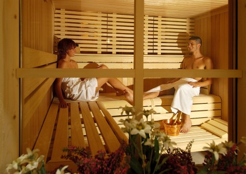 Wellness Hotel Alexander - Skirama Dolomiti Adamello Brenta - Itálie, Paganella - Lyžařské zájezdy