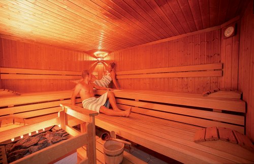 Ferienhotels Alber se skipasem - Korutany - Rakousko, Mölltal - Ankogel - Lyžařské zájezdy