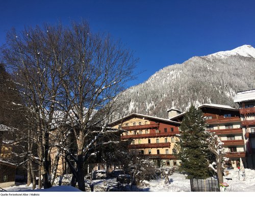 Ferienhotels Alber se skipasem - Korutany - Rakousko, Mölltal - Ankogel - Lyžařské zájezdy