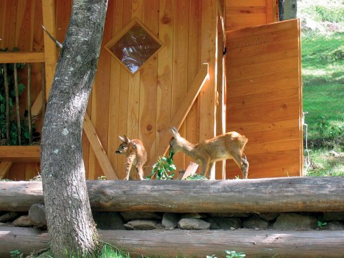 Hotel Alaska - Val di Sole - Itálie, Marilleva, Folgarida - Lyžařské zájezdy