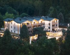 Hotel Wiesnerhof