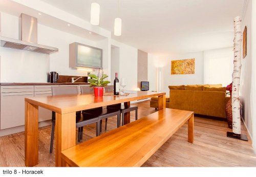 Apartmánový dům Gletscherblick - Salcbursko - Rakousko, Kaprun - Zell am See - Lyžařské zájezdy