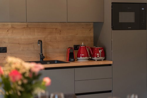 Alpenlodge Haus - Štýrsko - Rakousko, Schladming - Dachstein - Lyžařské zájezdy