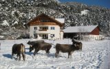 Hotel Möderle - Tyrolsko - Rakousko, Pitztal - Lyžařské zájezdy, Apartmánový dům Gundolf Arzl Apartmánový dům Gundolf Arzl
