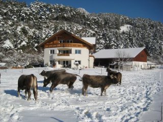 Apartmánový dům Gundolf Arzl - Tyrolsko - Rakousko, Pitztal - Lyžařské zájezdy Apartmánový dům Gundolf Arzl - Tyrolsko - Rakousko, Pitztal - Lyžařské zájezdy