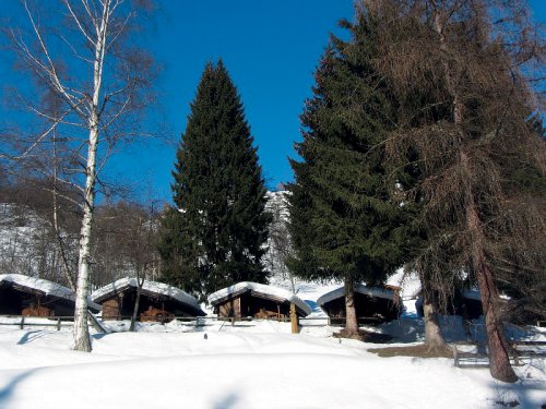 Bungalovy Val di Sole - Skirama Dolomiti Adamello Brenta - Itálie, Pejo - Lyžařské zájezdy