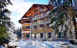 Katalog zájezdů, Hotel Ribno - lyžařský balíček s denním přejezdem, wellness a polopenzí v ceně