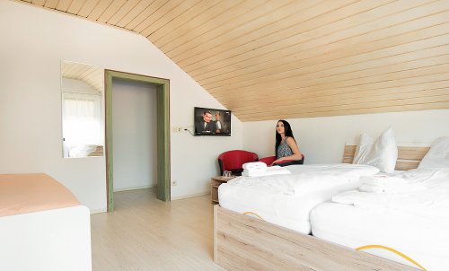 Pension Mentenwirt & Appartements pokoje - Salcbursko - Rakousko, Lungau - Lyžařské zájezdy