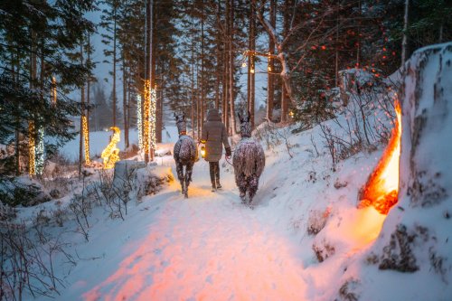 Hotely Mallnitz SKI OPENING Advent - Korutany - Rakousko, Mölltal - Ankogel - Lyžařské zájezdy