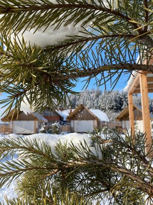 Lakeside Petzen Glamping Resort - Korutany - Rakousko, Petzen - Lyžařské zájezdy