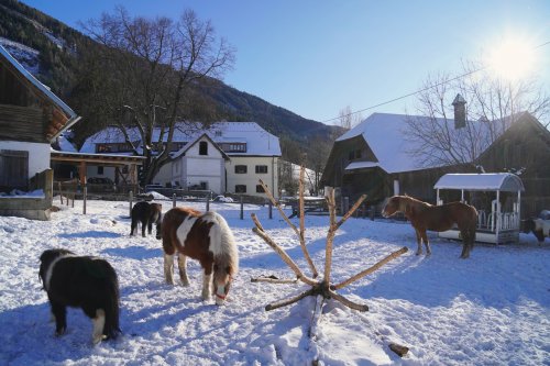 Familienbauernhof Glawischnig-Hofer - Salcbursko - Rakousko, Katschberg - Lyžařské zájezdy